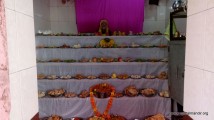 Ankut Utsav @ Dhargav 