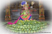 Aamrotsav @ Vadtaldham